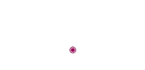 Nagendra Bhushan Bhandar